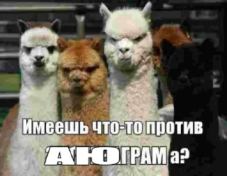 Стикер АЮГРАМ - 0