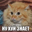 Стикер b0r1s - 10 Стикер b0r1s - 10