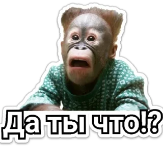 Стикер Смешные - 4