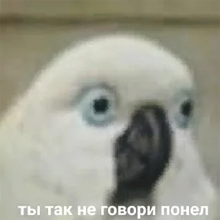 Я орал, меня ловили Я орал, меня ловили - животное