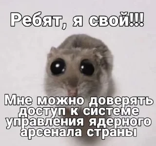 Стикер взрывные котята - 0