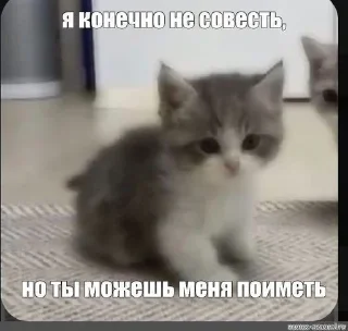Стикер брадки - 8