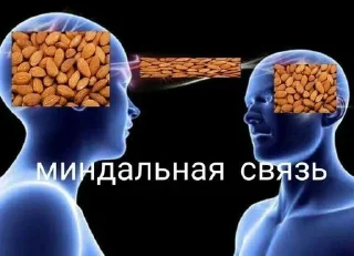 Стикер брадки - 4