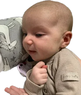 Sticker Стикеры Софы - 0