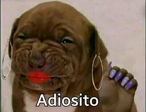 ΠΆΠΈΠ²ΠΎΡΠ½ΠΎΠ΅ ΠΆΠΈΠ²ΠΎΡΠ½ΠΎΠ΅ ΠΌΠ»Π΅ΠΊΠΎΠΏΠΈΡΠ°ΡΡΠ΅Π΅ ΡΠΎΠ±Π°ΠΊΠ°