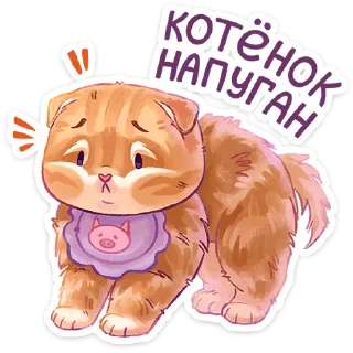 Стикер Котик - 5 Стикер Котик - 5