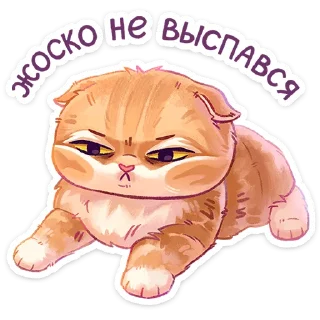 Стикер Котик - 10 Стикер Котик - 10