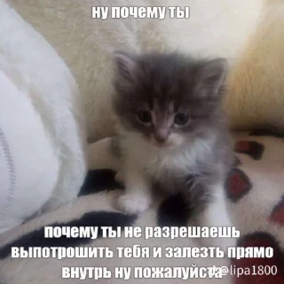 Sticker Я педофил - 0