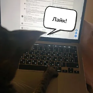 Стикер Админ из ЦБ - 4