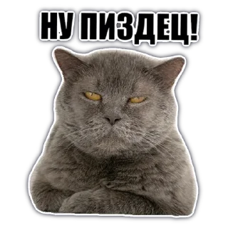 Стикер @chatkasha - 1 Стикер @chatkasha - 1