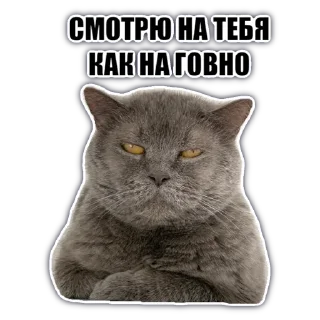 Стикер @chatkasha - 2 Стикер @chatkasha - 2
