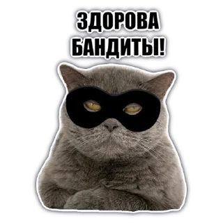 Стикер @chatkasha - 0
