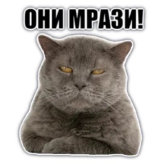 Стикер @chatkasha - 11 Стикер @chatkasha - 11