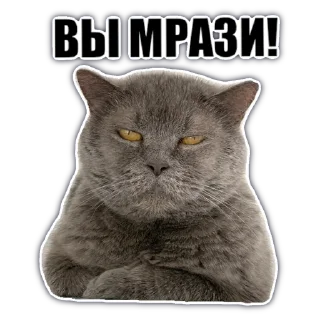 Стикер @chatkasha - 10 Стикер @chatkasha - 10