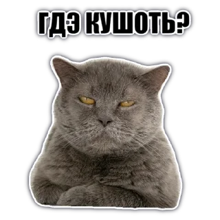 Стикер @chatkasha - 9 Стикер @chatkasha - 9