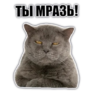 Стикер @chatkasha - 7 Стикер @chatkasha - 7