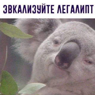 Стикер калыван - 0