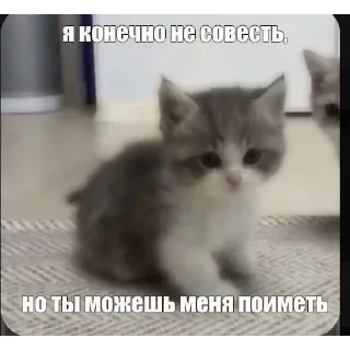 Sticker богу стыдно за меня - 7 Sticker богу стыдно за меня - 7