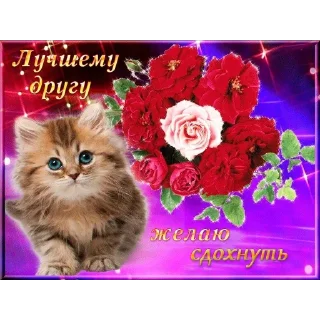 Sticker богу стыдно за меня - 3 Sticker богу стыдно за меня - 3
