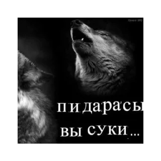 Sticker богу стыдно за меня - 1 Sticker богу стыдно за меня - 1