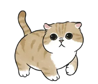 Sticker kotyashi - 0