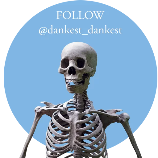 $$$ DANK MEMES $$$ $$$ DANK MEMES $$$ -