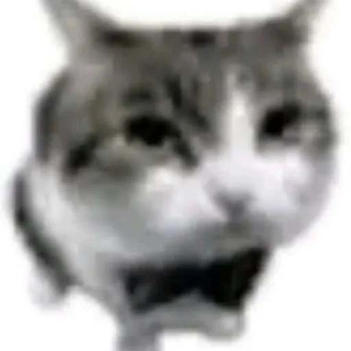 uuhjhhhhhjjkhjng uuhjhhhhhjjkhjng -