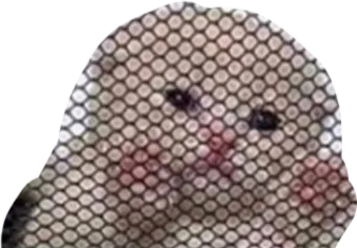 алло алло -