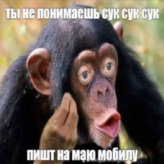 Стикер dmlixxx - 2