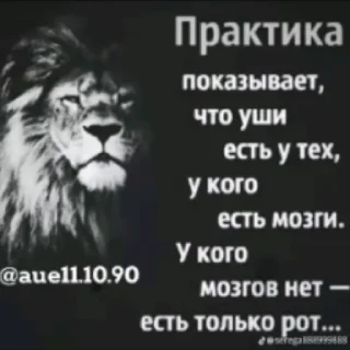 Стикер dmlixxx - 6