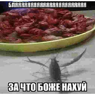 Sticker да иди нахуй - 2 Sticker да иди нахуй - 2