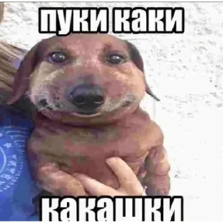 Sticker да иди нахуй - 1 Sticker да иди нахуй - 1