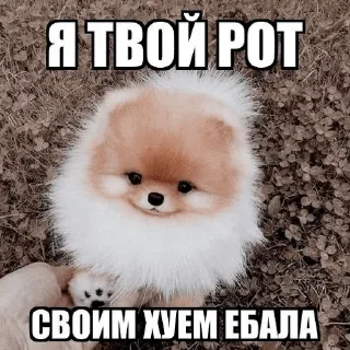 Sticker узбеки - 6