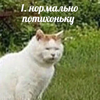 Стикер помойкаебаная - 0