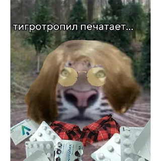 Стикер тигр ХУИГР - 0