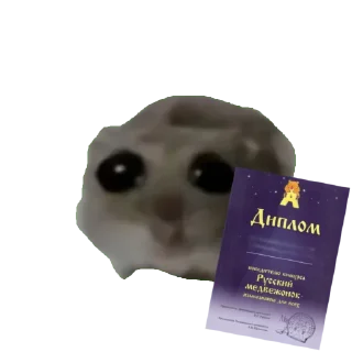 Sticker Сливы курсов ЕГЭ - @EgeNikbot - 11 Sticker Сливы курсов ЕГЭ - @EgeNikbot - 11