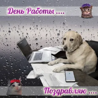 Sticker Сливы курсов ЕГЭ - @EgeNikbot - 6 Sticker Сливы курсов ЕГЭ - @EgeNikbot - 6