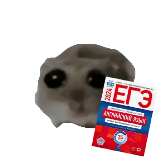 Sticker Сливы курсов ЕГЭ - @EgeNikbot - 7 Sticker Сливы курсов ЕГЭ - @EgeNikbot - 7