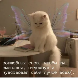 Sticker Сливы курсов ЕГЭ - @EgeNikbot - 1 Sticker Сливы курсов ЕГЭ - @EgeNikbot - 1