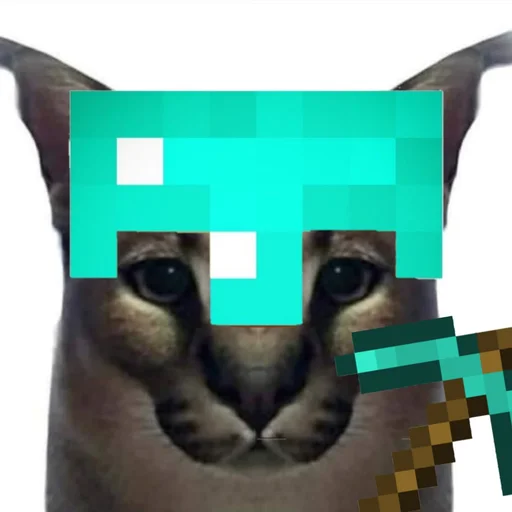 animal animal mammal small to medium-sized cats