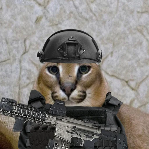 weapon weapon animal mammal