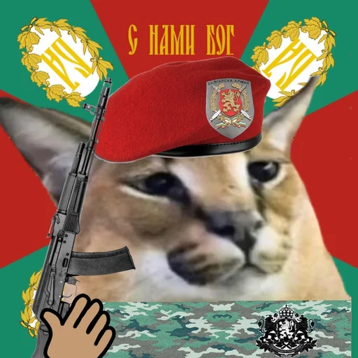 cartoon cartoon animal mammal