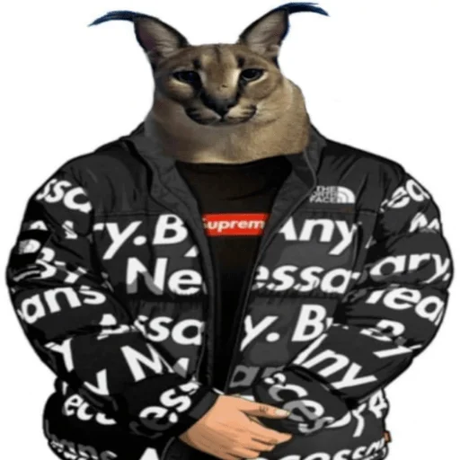 animal animal mammal jacket