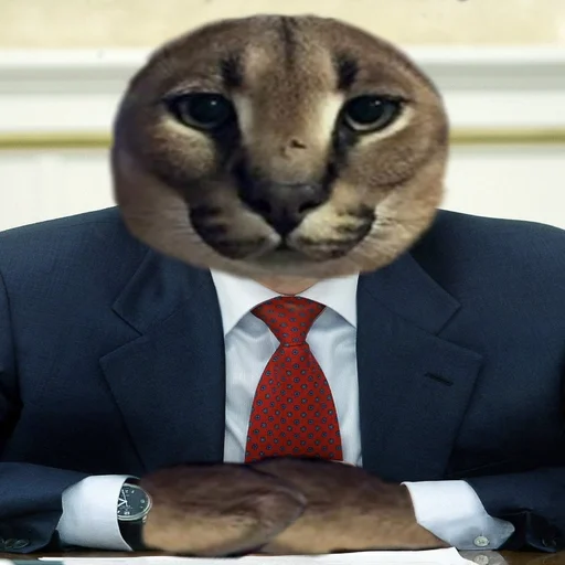 person collar tie