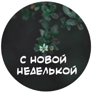 Sticker For My Friends🤍 - 0