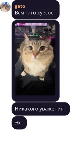 Баня бизнесменов | LavaShop | pack by @bakaquote_bot Баня бизнесменов | LavaShop | pack by @bakaquote_bot -
