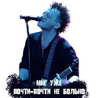Стикер Мои эдельвейсы - 0