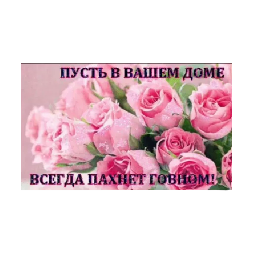 СМС СМС роза растение