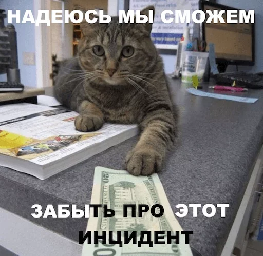 text text felidae small to medium-sized cats