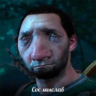 Sticker Czerwony Kardynal - 0